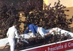 Lamezia, controlli e denunce della polizia municipale tra ambulanti in fiera
