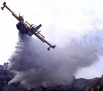 Calabria: Vasto incendio divampa nei boschi del cosentino
