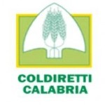 Calabria, Coldiretti: Danni per 2 milioni di euro causa maltempo
