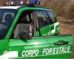 Calabria: Sequestrata isola ecologica a Trebisacce
