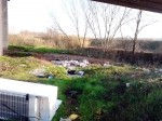 Lamezia: Domani giornata formativa su controlli polizia ambientale