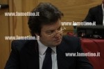 Lamezia, Grandinetti (Fli):