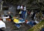 Calabria: Senzatetto muore per esalazioni monossido, corpo sbranato da cani