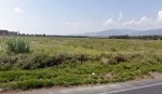 Lamezia: Associazione Aletheia chiede a Sindaco ulteriori chiarimenti su vicenda Icom