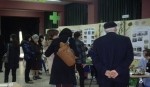 Lamezia: Scuola, progetto storia umanità alla