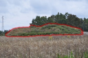 Area Ex-Sir, tra incuria e silenzi