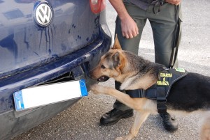 'Ndrangheta: nel 2011 Gdf ha sequestrato beni per 550 milioni di euro