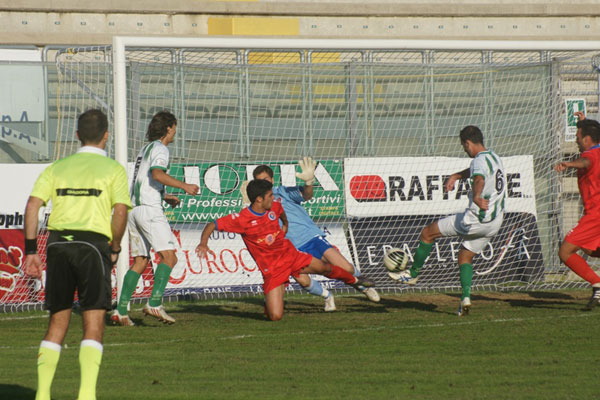 LA-RETE-DI-GATTARI