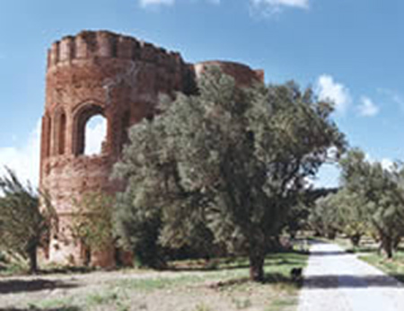Parco-Scolacium.jpg