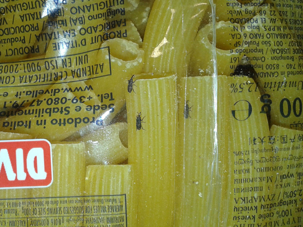Pasta_sequestrata_-nov-2013.jpg