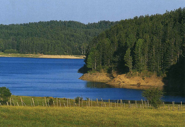 Sila_Lago_Ampollino.jpg