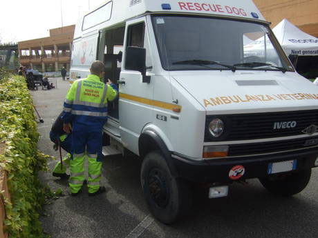ambulanza_cani.jpg