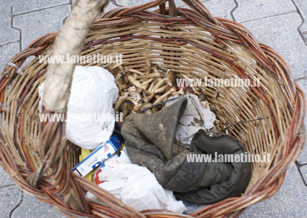 cesto-funghi-vittima-ottobre-2012