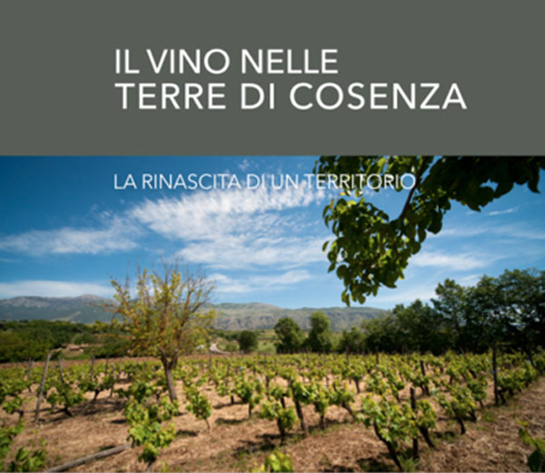 il-vino-nelle-terre-di-cosenza.jpg