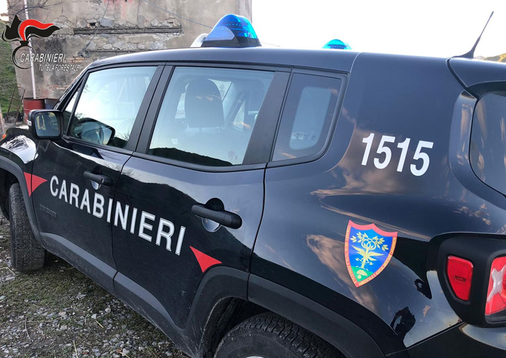 Controlli mercatini rionali tra Catanzaro e Soverato, sanzioni e sequestrate buste non biodegradabili - Il Lametino