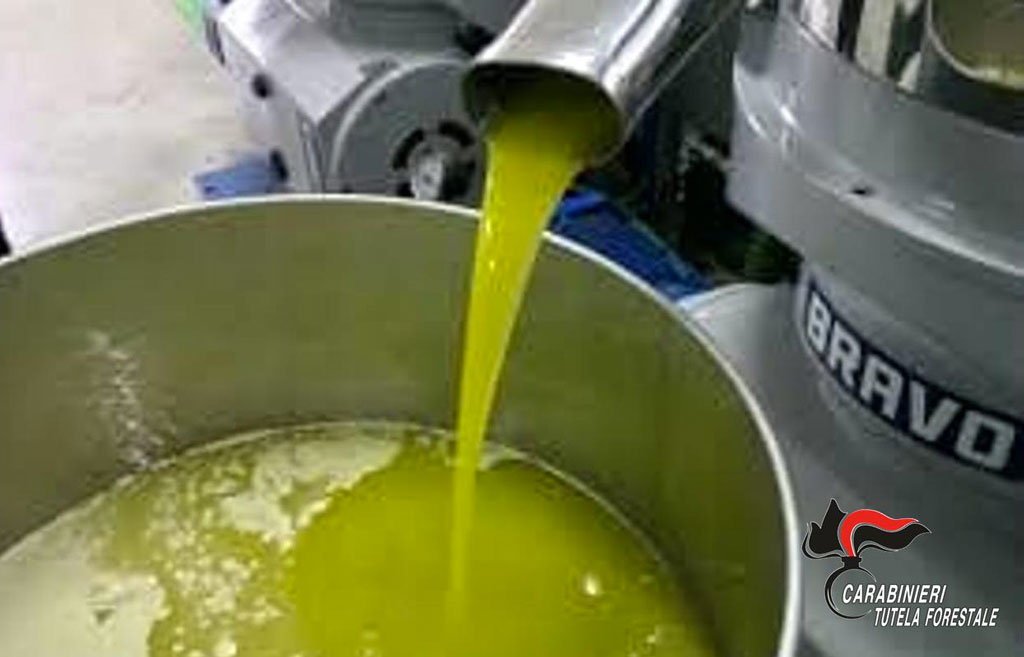 olio-2019-vv.jpg