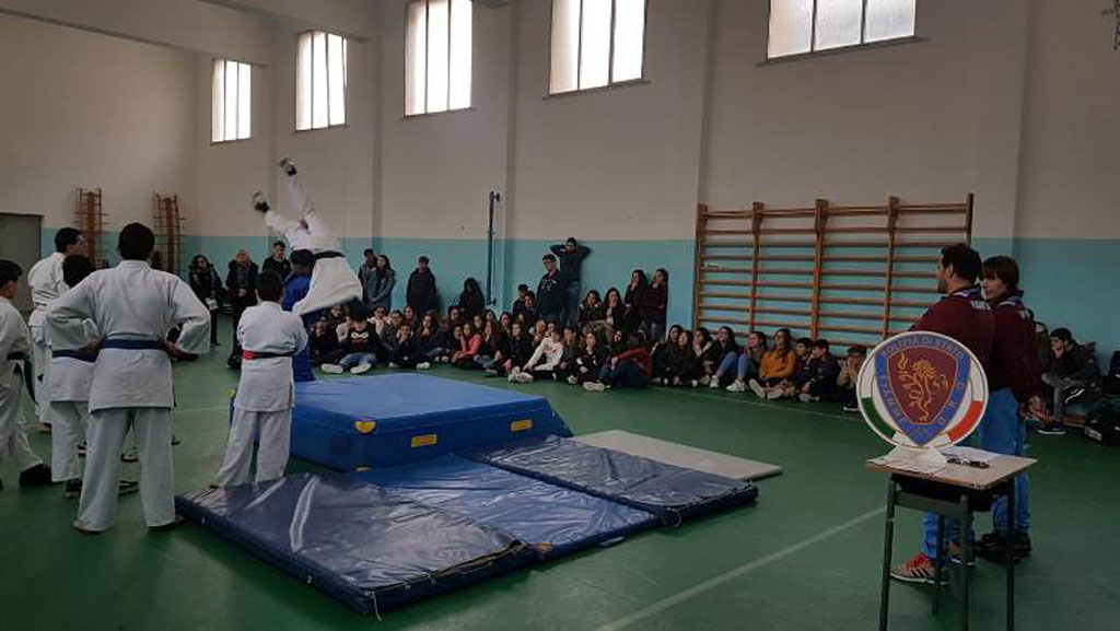 palestra-judo-pol2018.jpg