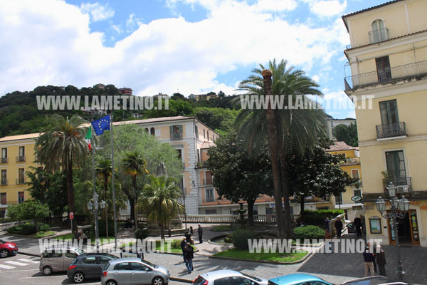 palme_corso_numistrano_lamezia_punteruolo_rosso_1.jpg