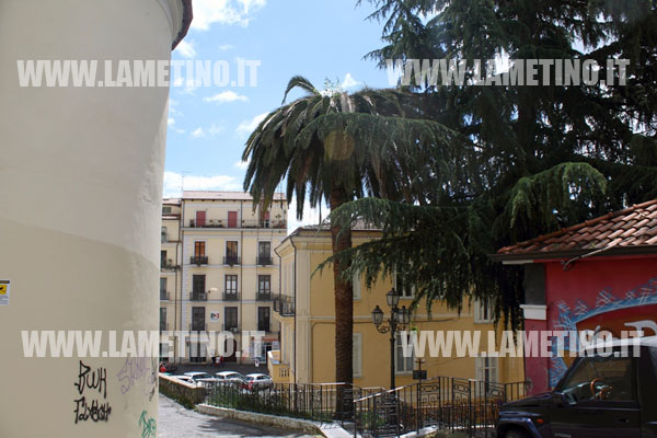 palme_lamezia_punteruolo_rosso.jpg