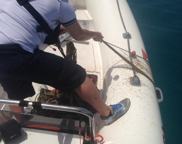 pesca-illegale-guardia-costiera-2014.jpg