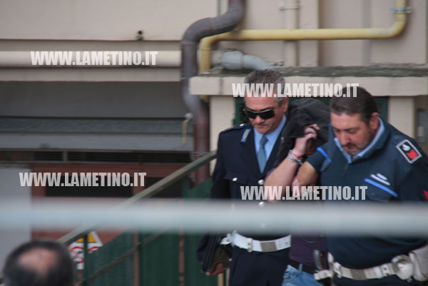 processo_gatto1
