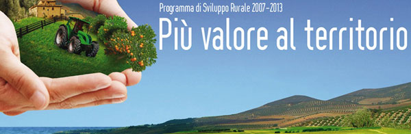 psr-2007-2013.jpg