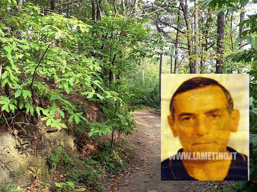 pulicicchio_bosco-decollat