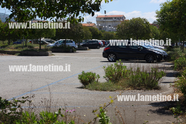 rifiuti-parcheggio-ospedale-lamezia-piante.jpg