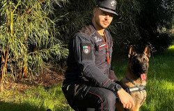 Pastore belga dell'unità cinofila antiveleno in servizio sul Pollino Fenir-2025-11-29-alle-19.39.08_71ad4.jpg