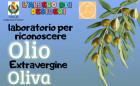 Lamezia, laboratorio per grandi e piccoli alla scoperta dell’olio extravergine Olio2025-11-02-at-21.11.21_1a6f5.jpg