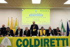 Coldiretti Calabria: "Centinaia di aziende distrutte dal maltempo, 300 milioni non bastano" Schermata-2026-02-27-alle-16.31.09_4f00d.jpg