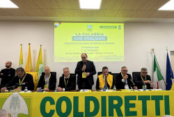 Coldiretti Calabria: "Centinaia di aziende distrutte dal maltempo, 300 milioni non bastano" Schermata-2026-02-27-alle-16.31.09_4f00d.jpg