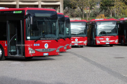 Lamezia, parte in via sperimentale nuova corsa per il trasporto pubblico a Ginepri autobus-ibiridi-lamezia_8870e_48fa9.jpg