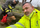 Anas e Vigili del Fuoco salvano cane durante lavori sulla SS 19 a Tiriolo cane-2026-02-07-alle-12.57.42_38fd8.jpg