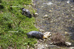 Al via i lavori sul Torrente Cantagalli: pulizia e messa in sicurezza dal tratto urbano di Sambiase fino a Sant’Eufemia cantagalli-5_2998e.jpg