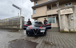 Scoperta illecita coltivazione di marijuana tra Conflenti e Lamezia: 4 arresti, sequestrati beni e conti correnti per oltre 220mila euro cc-conflentioto_50e90.jpg