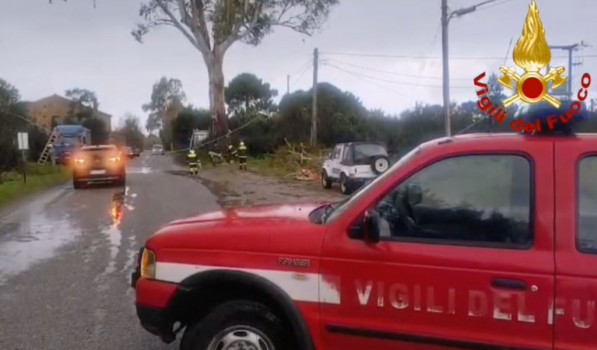 Dopo maltempo torna il sole in Calabria: 221 interventi dei Vigili del Fuoco per alberi caduti, allagamenti e verifiche vvf-2026-01-11-alle-08.39.33_7827b.jpg