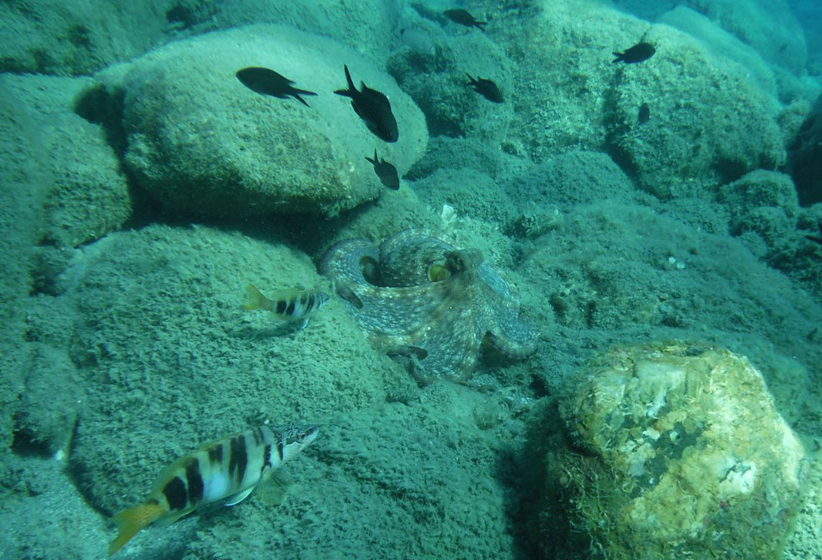 5_f584c.jpg