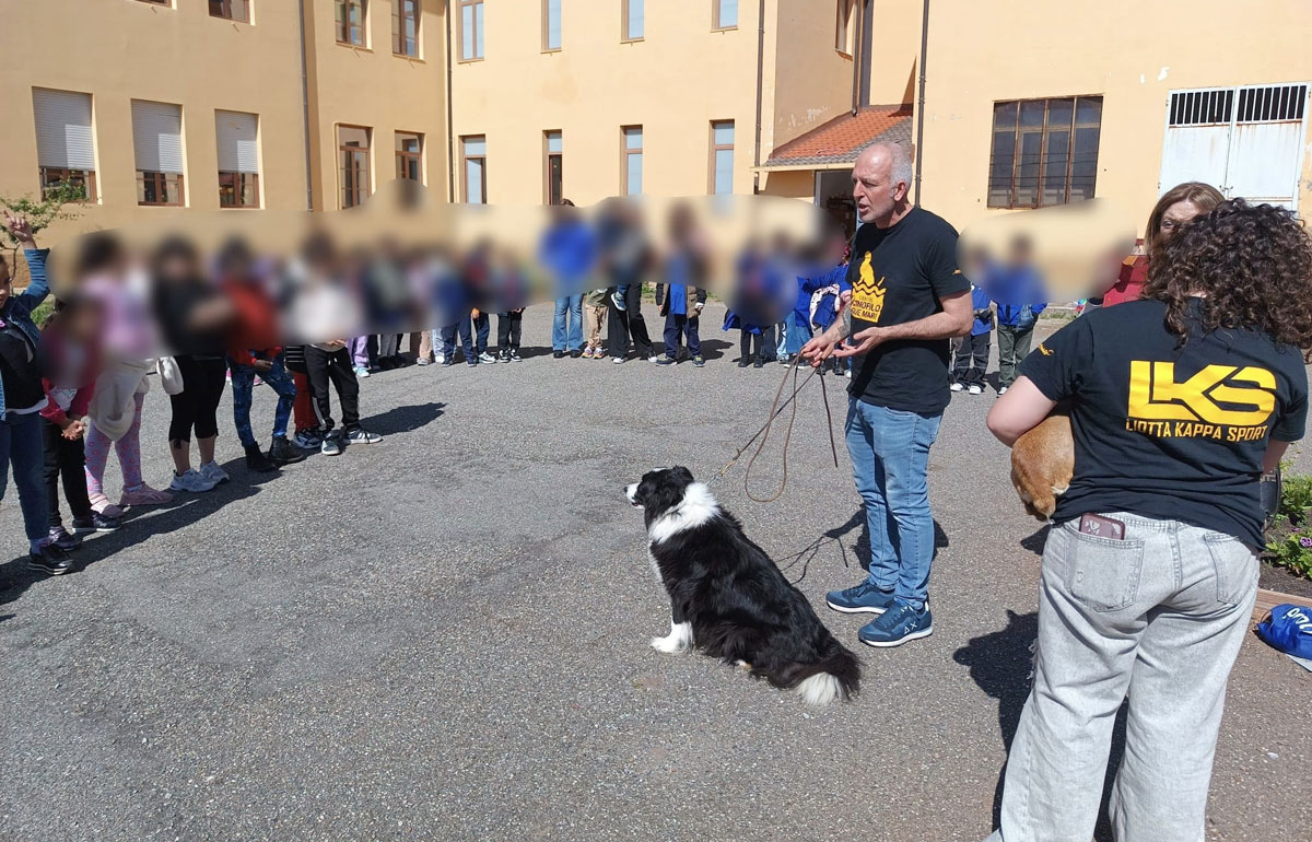 Lamezia, "Un Amico Comune" conclusa la prima campagna di sen