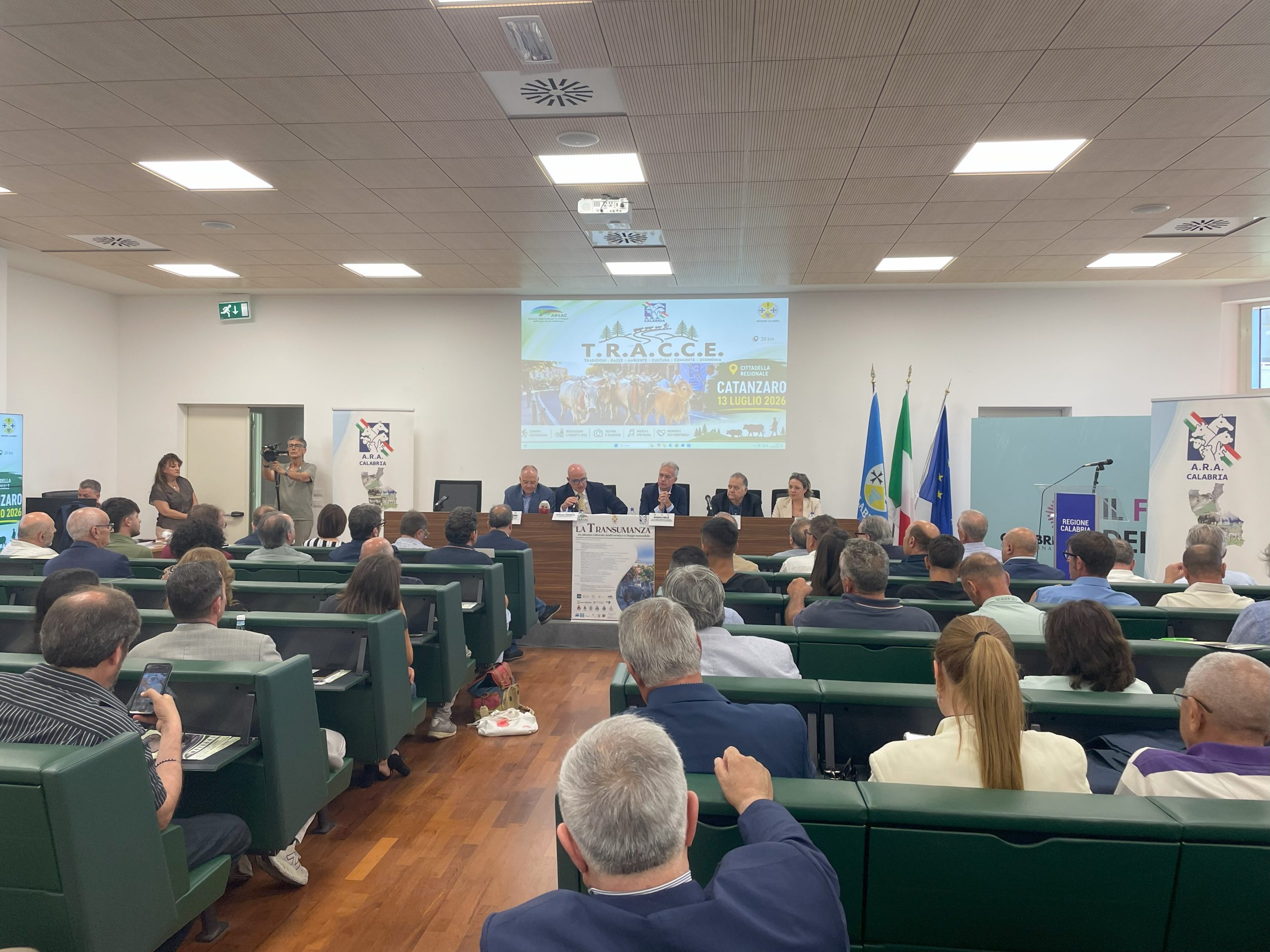 Transumanza, in Calabria l'11% delle aziende di bovini podol