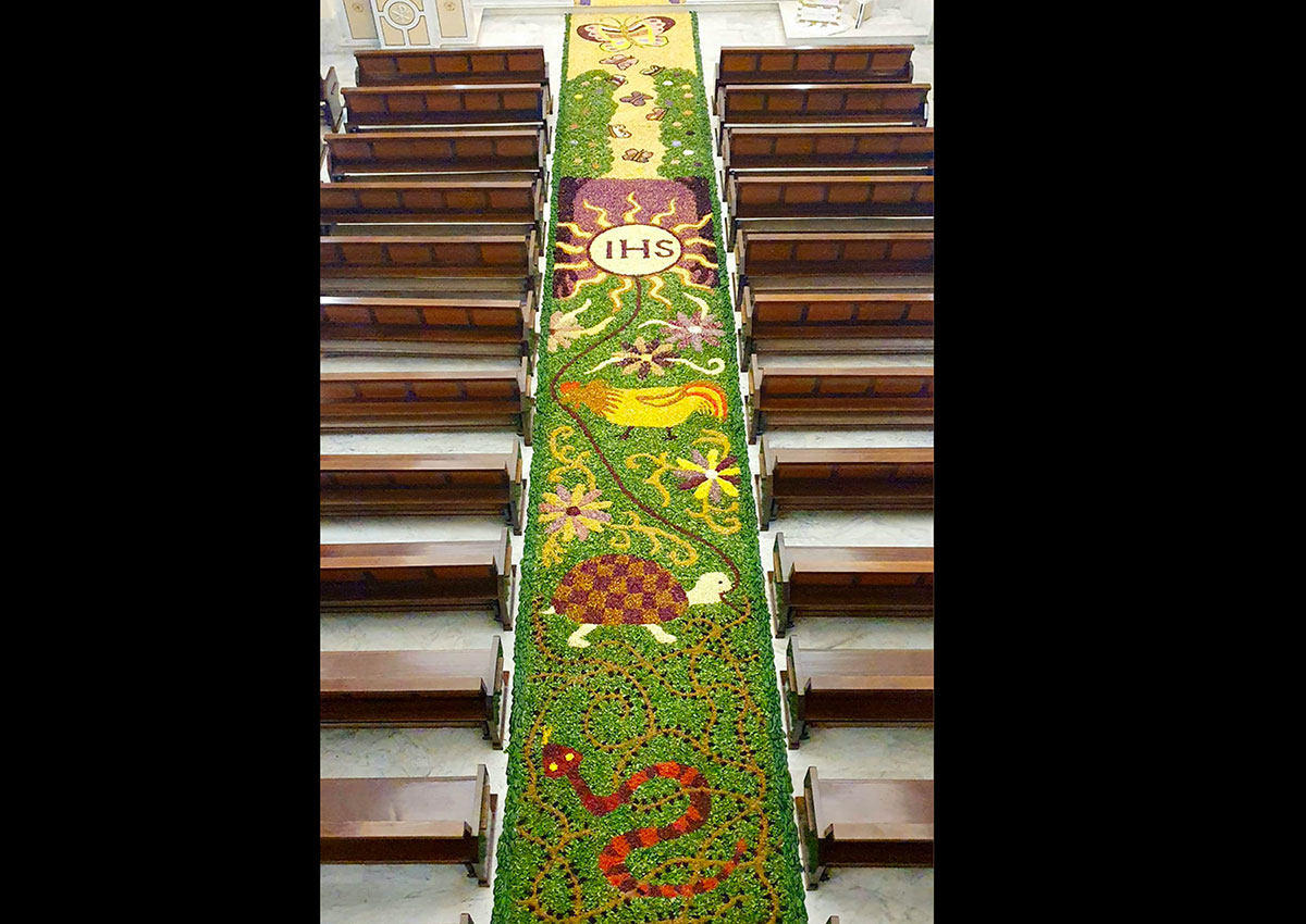 Infiorata-2026_dc220.jpg