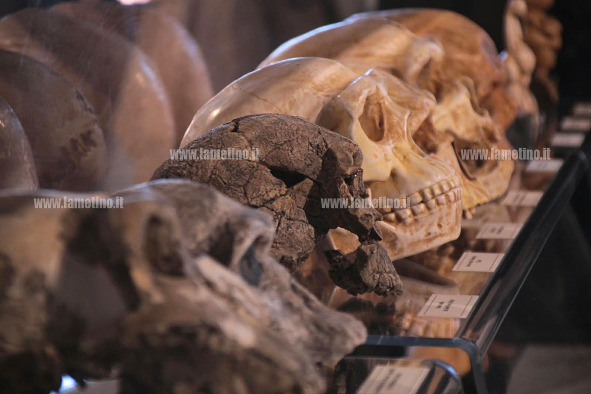 MuseoArcheologicoLametino2026_5ac11.jpg