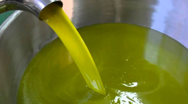 Crisi dell’olio extravergine calabrese, proposte di Apolc a 