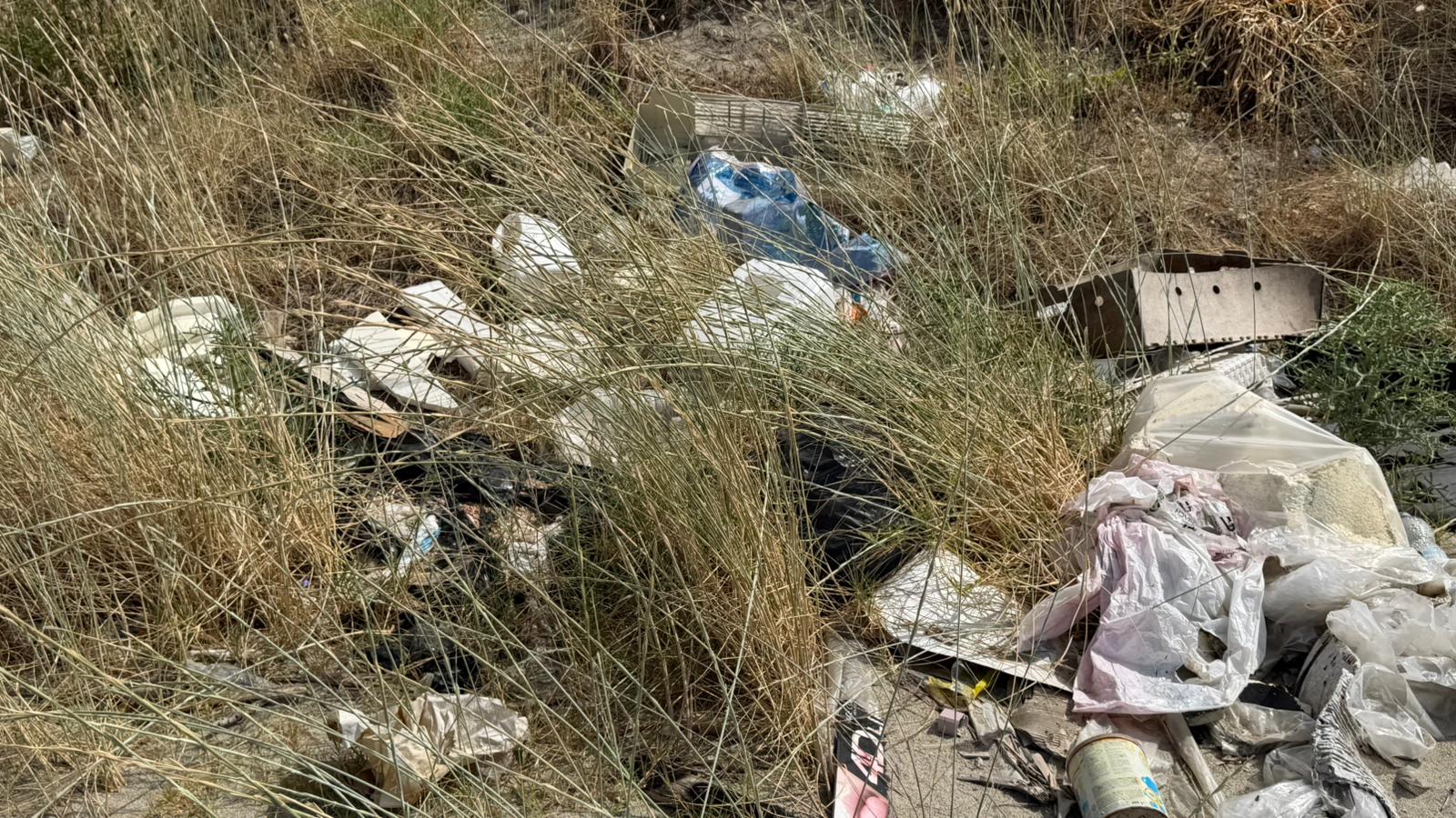 Lamezia, Serratore e Vitale all’Amministrazione: “Ancora num