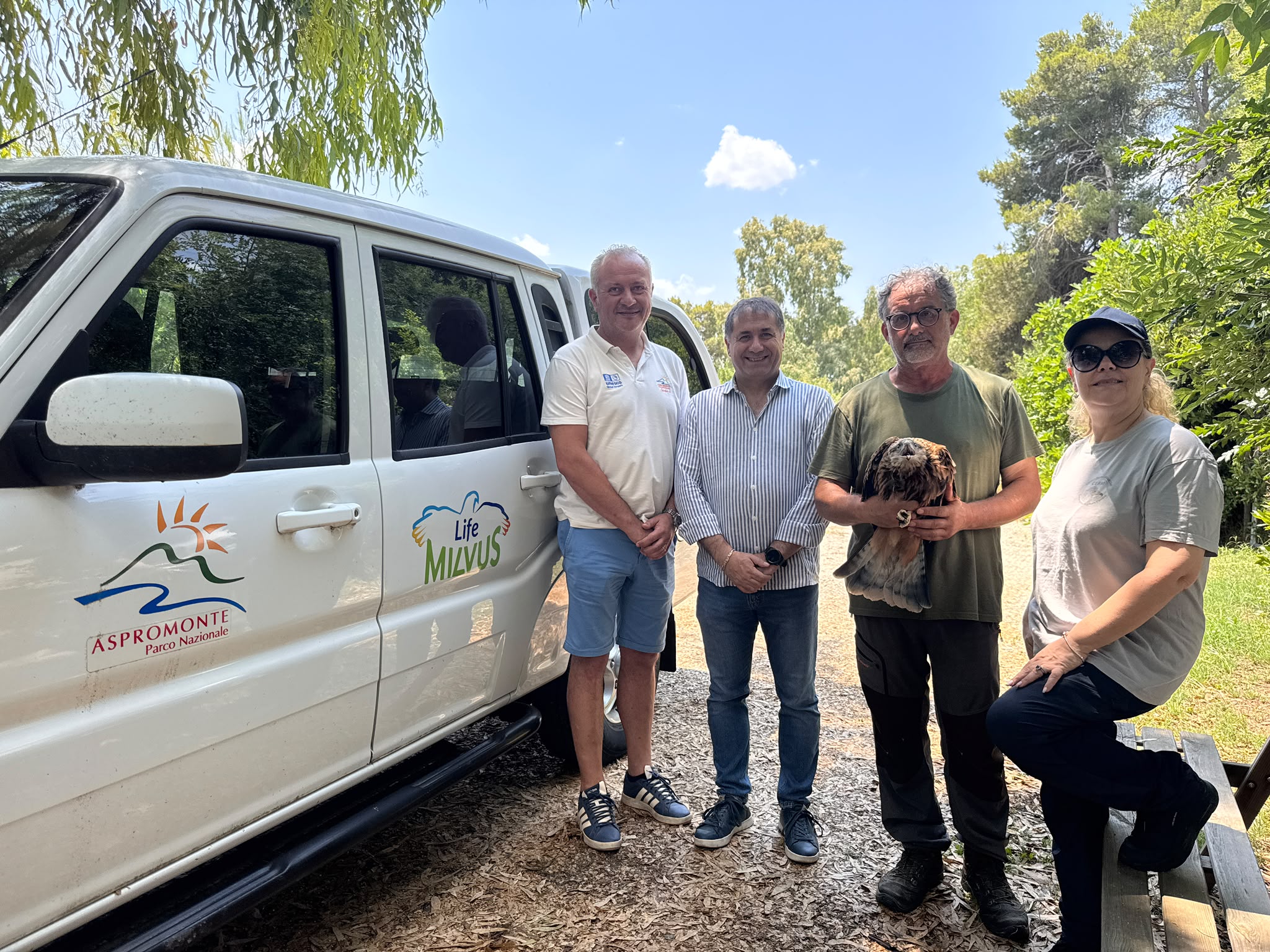 Nel Parco dell'Aspromonte arriva un esemplare di nibbio real