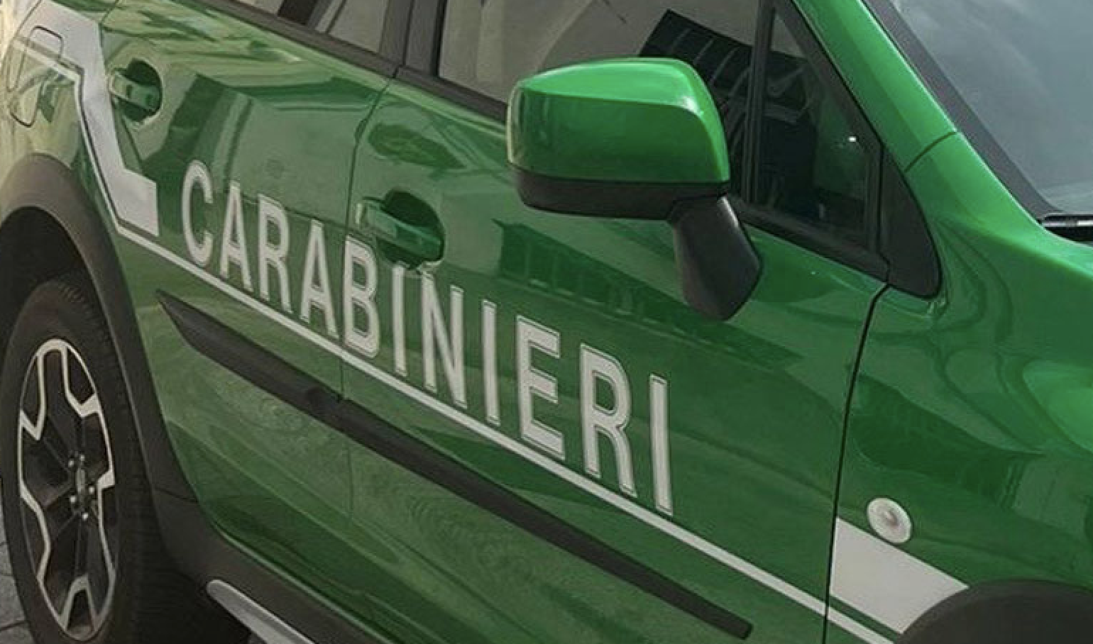 Taglio abusivo di 372 alberi, area sequestrata a Nardodipace
