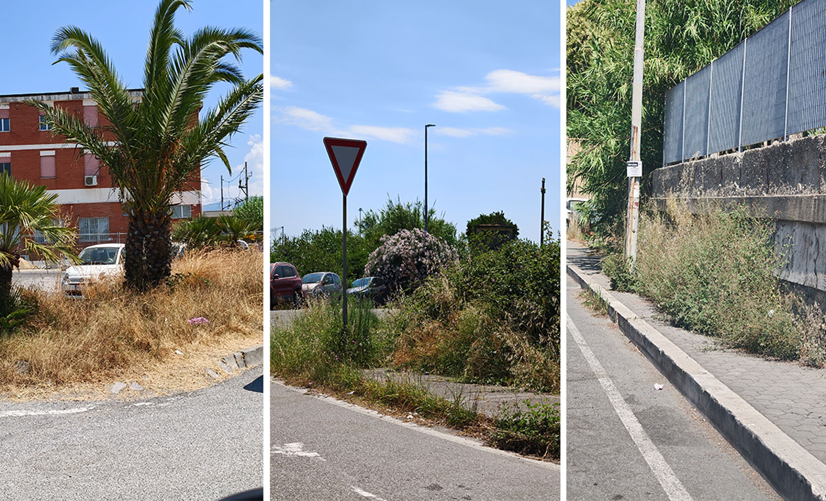 Lamezia, Carito (Pd): "Degrado inaccettabile a Sant'Eufemia 