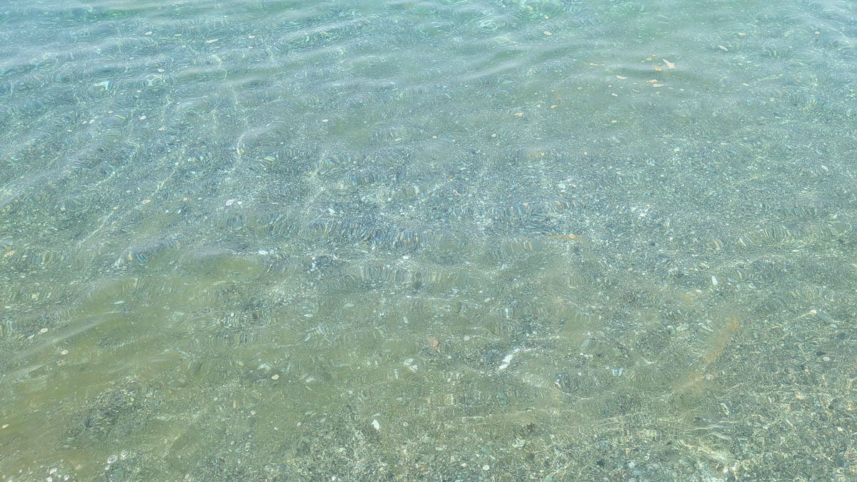 Unknown-5_98912.jpg