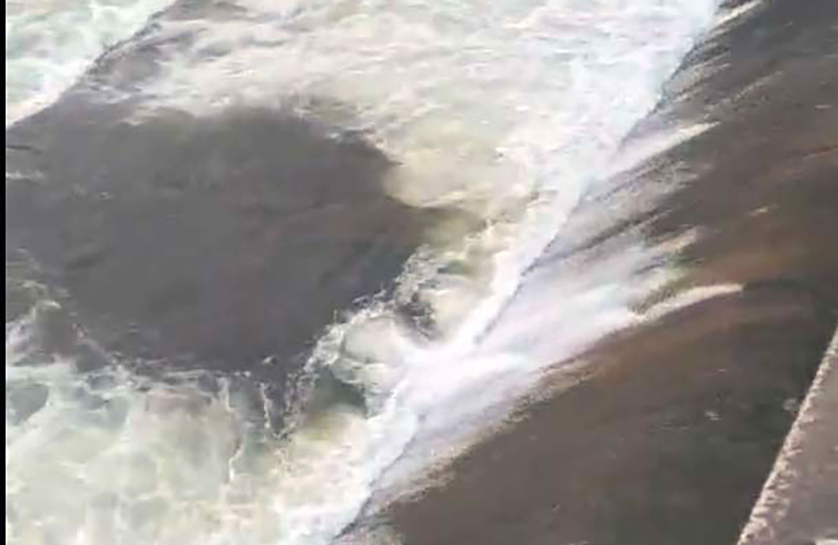 Cia Calabria denuncia: “Acqua sacrificata per l’energia, ter