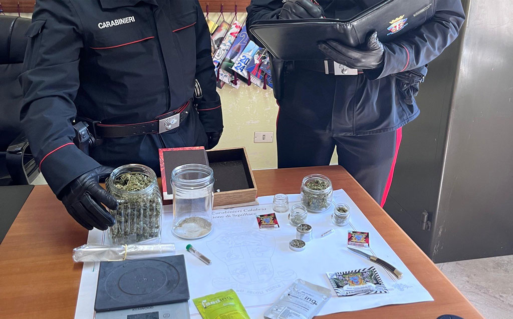 Veicolo sospetto porta a una mini-serra domestica a Squillace: una denuncia